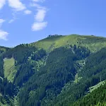 扎加阿姆山地酒店 3* 滨湖采尔